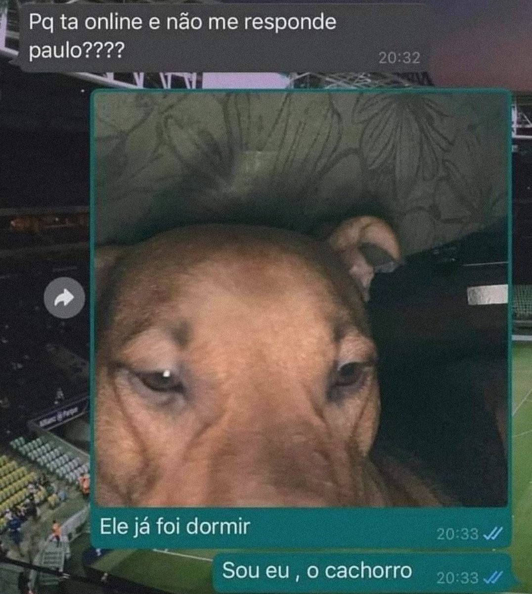 CatioroReflexiv's tweet image. 