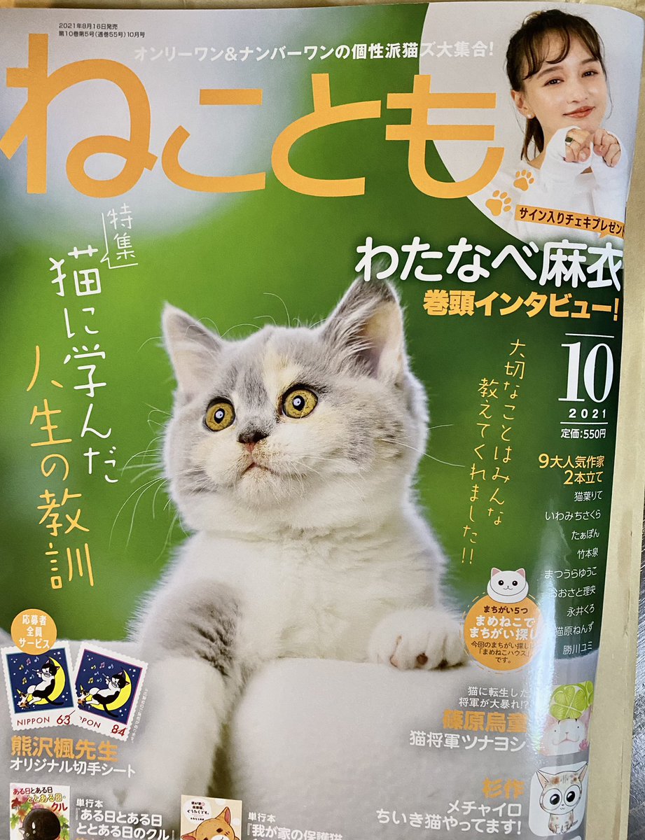 よしまさこ Masakoyoshi Twitter よしまさこ Masakoyoshi Twitter