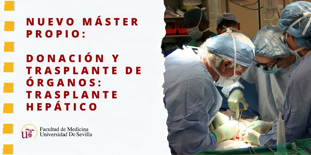 🚨💥 NUEVO #MásterPropio #DONACIÓN Y #TRASPLANTE DE ÓRGANOS: #TRASPLANTEHEPÁTICO 🚨💥

🔝 ¿Buscas especializarte en trasplante hepático? Con nuestro nuevo #máster conocerás y sabrás aplicar los nuevos desarrollos diagnósticos y terapéuticos.

👉Descúbrelo: bit.ly/2UblVul