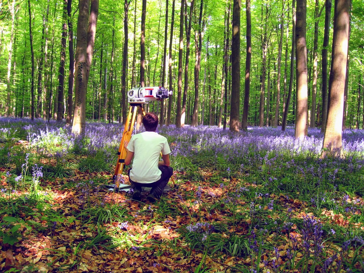 Kim Calders tweet media