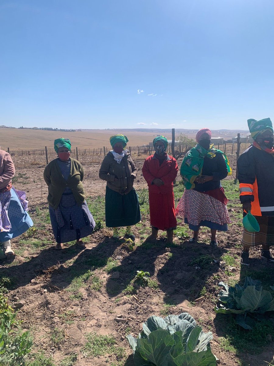 ANCWL_hq's tweet photo. This is what’s taking place right now in provinces, Backyard Food Gardens, in line with today’s programme of which includes discussions on Food Security

#Intersectionality
#ANCWLUmanyano
#WomensMonth
🖤💚💛 https://t.co/jgx7Phqs48
