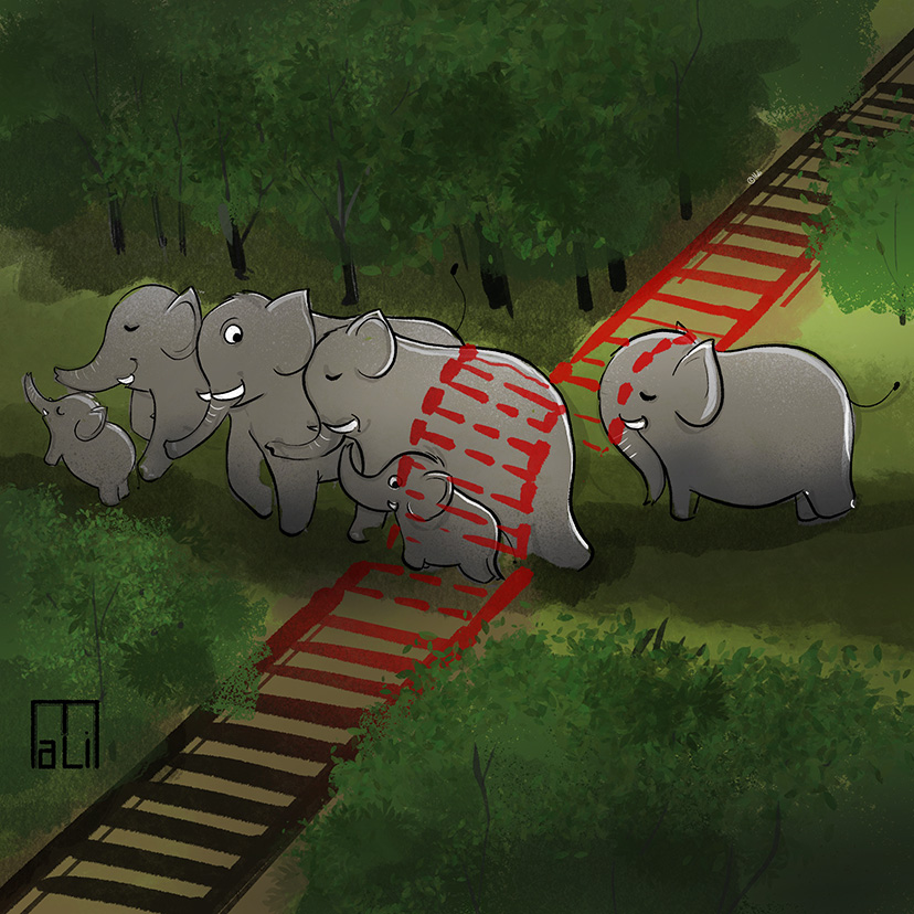 Elephants never cross rail or road, we cross their path. 
#elephantday #Elephants @ElephantCrisis #WorldElephantDay2021 @WWF