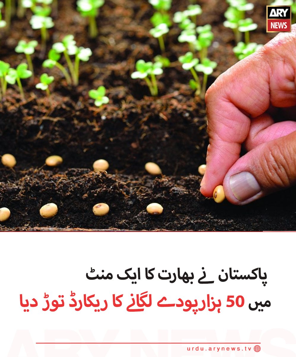 arynewsud's tweet photo. پاکستان نے بھارت کا ایک منٹ میں 50 ہزارپودے لگانے کا ریکارڈ توڑ دیا

مزید پڑھیں :  https://t.co/leyUM1mBm2

#ARYNewsUrdu https://t.co/TsWrdKcbEH