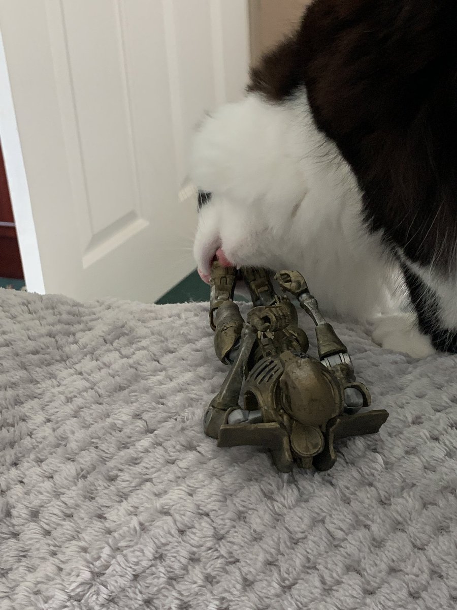 codexcompliant's tweet photo. Omelette wanted in on the action… #chomp #evilbrother #cat #warhammercommunity #sadnecron https://t.co/6edvN6Tzba