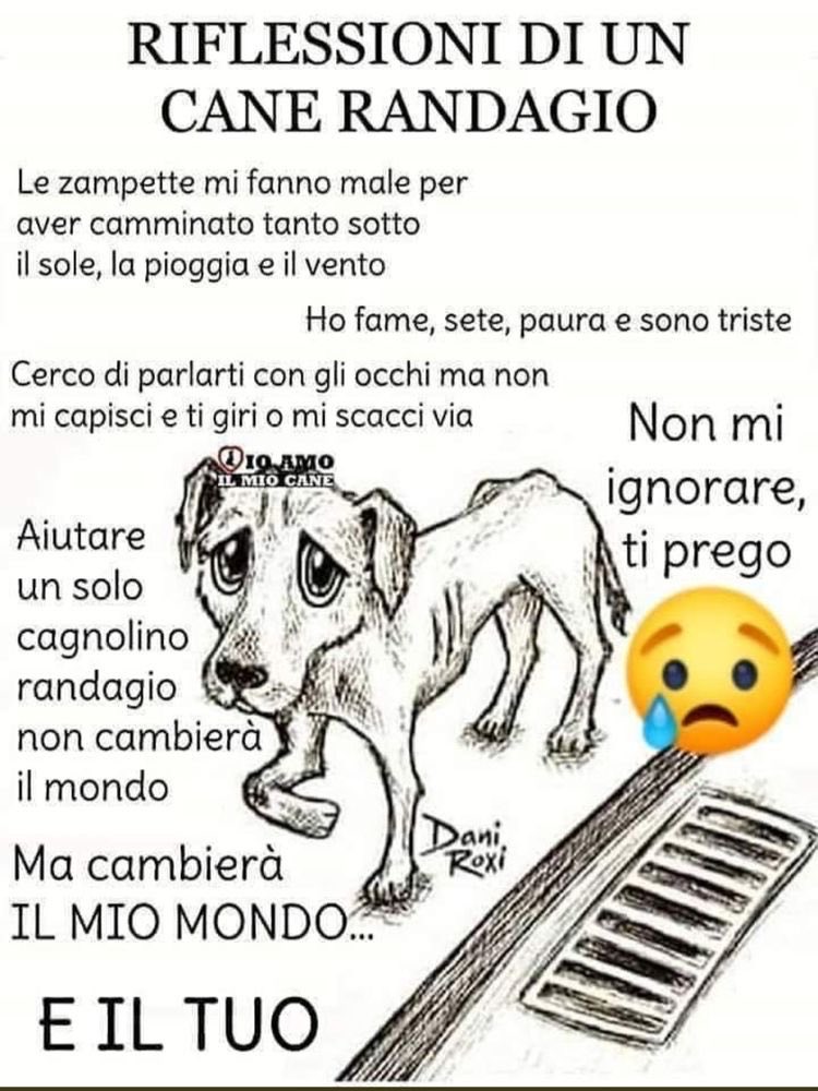 annamariamoscar's tweet photo. Chi salva una vita salva il mondo intero 🙏 https://t.co/JjxYAqU86Q