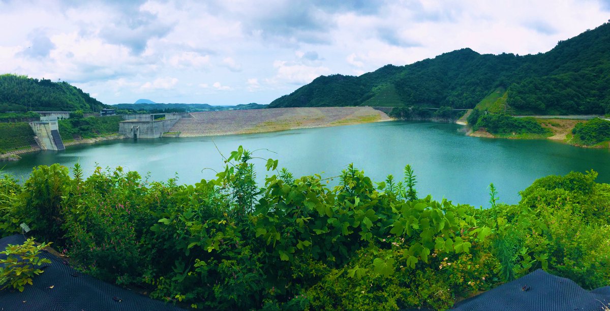 カードコレクション