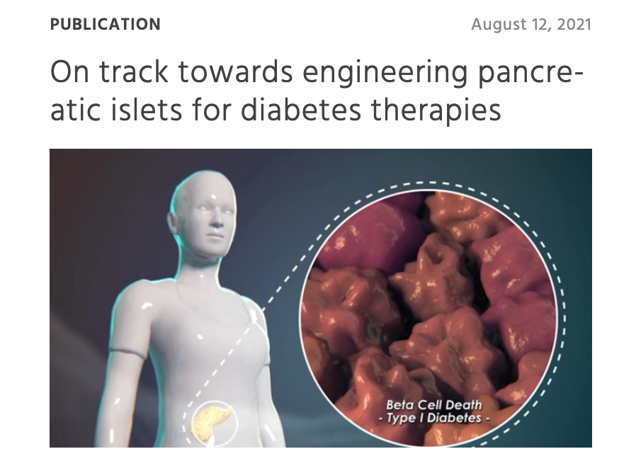 PioneerCampus's tweet photo. Most comprehensive 'state of affairs' in #engineering islets from #stemcells for #diabetes therapies👍
Crafted by @helmholtz_diabc @PioneerCampus experts https://t.co/rKHAuZmnoi HOPE YOU ENJOY 📃 🧬🔬🩺✅ 
@NatRevDrugDisc https://t.co/4UExetEsWf