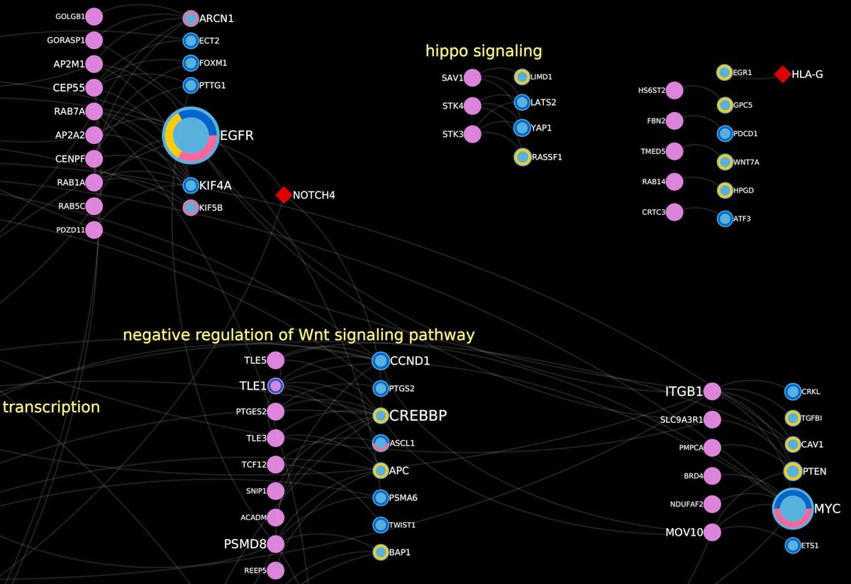 Pau Erola (@pauerola) on Twitter photo Does SARS-CoV-2 increase the risk of cancer? Pilot project funded by <a href="/JGIBristol/">Jean Golding Institute</a> with <a href="/r_martin_/">Richard Martin</a> <a href="/tomrgaunt/">Tom Gaunt</a> <a href="/epigraphdb/">EpiGraphDB</a> <a href="/BrisCancerEpi/">ICEP</a> <a href="/mrc_ieu/">MRC IEU</a> #COVID19 #cancer …ngoldinginstitute.blogs.bristol.ac.uk/2021/08/09/und… Does SARS-CoV-2 increase the risk of cancer? Pilot project funded by <a href="/JGIBristol/">Jean Golding Institute</a> with <a href="/r_martin_/">Richard Martin</a> <a href="/tomrgaunt/">Tom Gaunt</a> <a href="/epigraphdb/">EpiGraphDB</a> <a href="/BrisCancerEpi/">ICEP</a> <a href="/mrc_ieu/">MRC IEU</a> #COVID19 #cancer …ngoldinginstitute.blogs.bristol.ac.uk/2021/08/09/und…