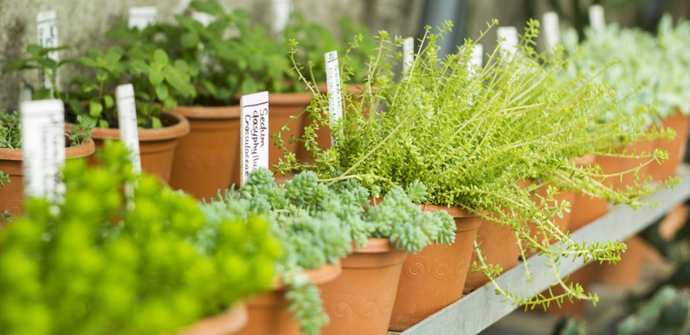 touchretail tweet media