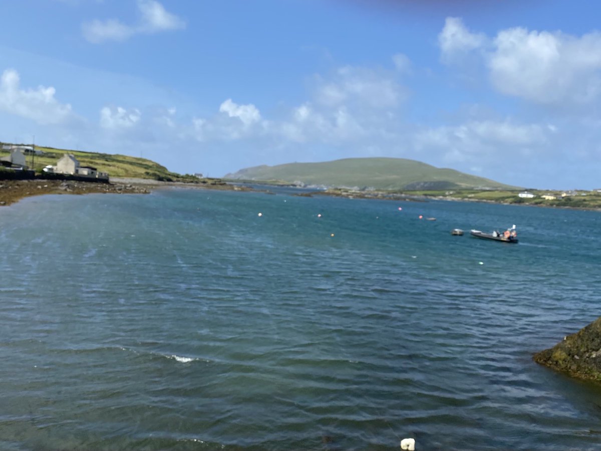 DeborahThreadgo's tweet image. Stunning morning driving the Atlantic Way around the Ring of Kerry. Short pitstop in the picturesque Portmagee watching the locals haul out a load of clacking lobsters in the harbour.. kids managed brownies and scones.. delicious.. despite a pile of pancakes for breakfast!!