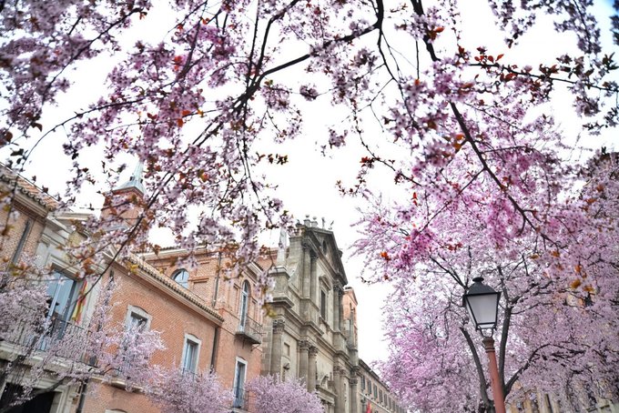 Foto cedida por Ayuntamiento de Alcalá