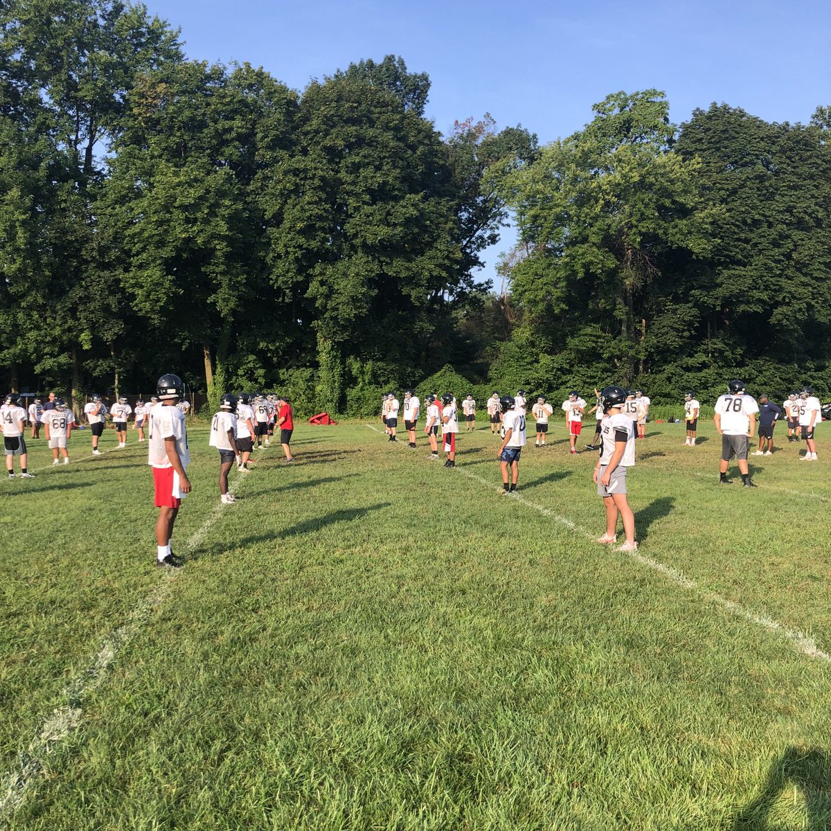 Mario Patrizi tweet media