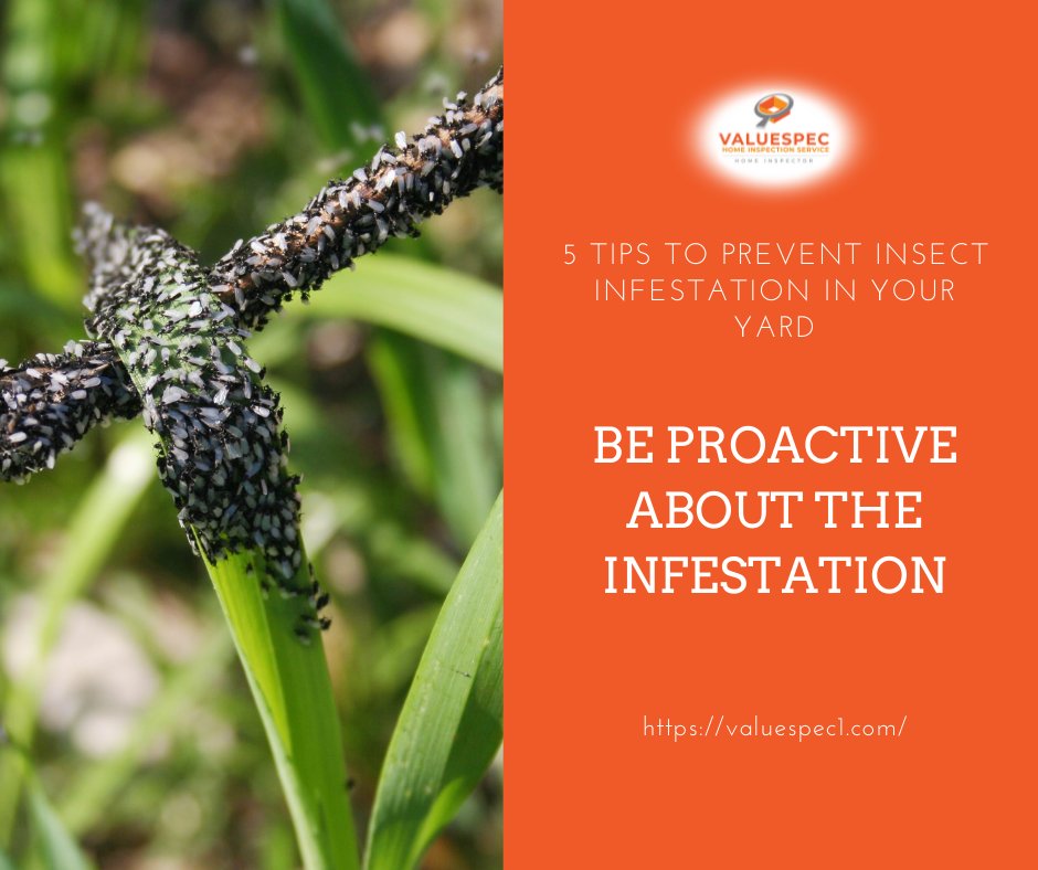 ValuespecS's tweet image. 5 TIPS TO PREVENT INSECT INFESTATION IN YOUR YARD

When you’re outside, take a moment to look for signs of insect infestation on your property.

Visit us: g.page/valuespec1-hom…
Call us: (714) 643-2844