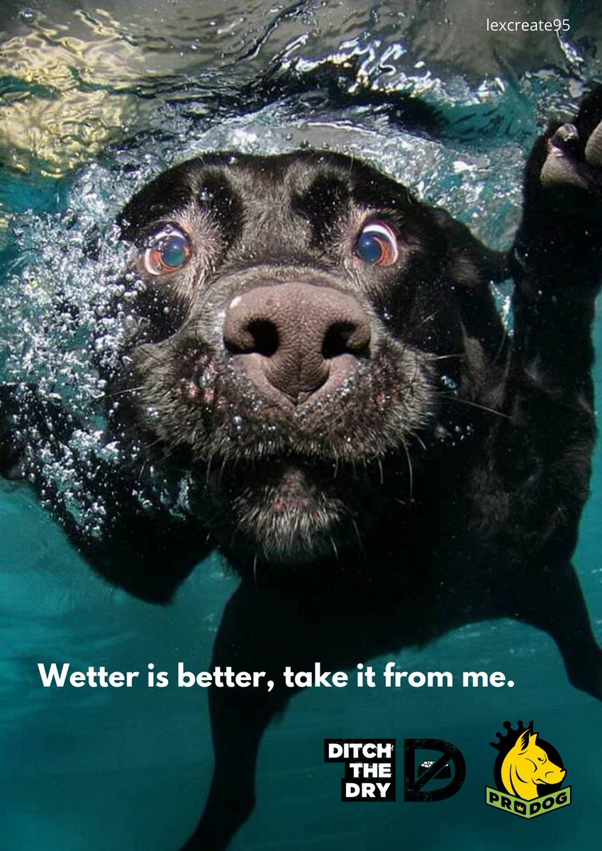 lexcreatestudio's tweet photo. Wetter is better 

@OneMinuteBriefs - #DitchTheDry and switch to raw food with @ProDogRaw https://t.co/iNWXCkB78H