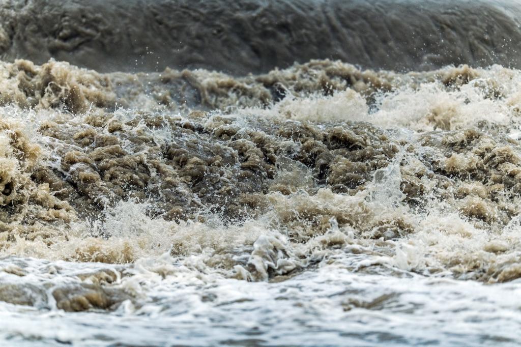 EU_ScienceHub (@eu_sciencehub) on Twitter photo What natural & socio-economic factors decide if a flood event becomes a disaster?
New research shows predictive abilities, the potential of surprise, and cognitive biases in human perception & decision making all play a role 👉 europa.eu/!nJRqMr <a href="/eu_echo/">EU Civil Protection & Humanitarian Aid 🇪🇺</a> <a href="/CopernicusEMS/">Copernicus EMS</a> What natural & socio-economic factors decide if a flood event becomes a disaster?
New research shows predictive abilities, the potential of surprise, and cognitive biases in human perception & decision making all play a role 👉 europa.eu/!nJRqMr <a href="/eu_echo/">EU Civil Protection & Humanitarian Aid 🇪🇺</a> <a href="/CopernicusEMS/">Copernicus EMS</a>