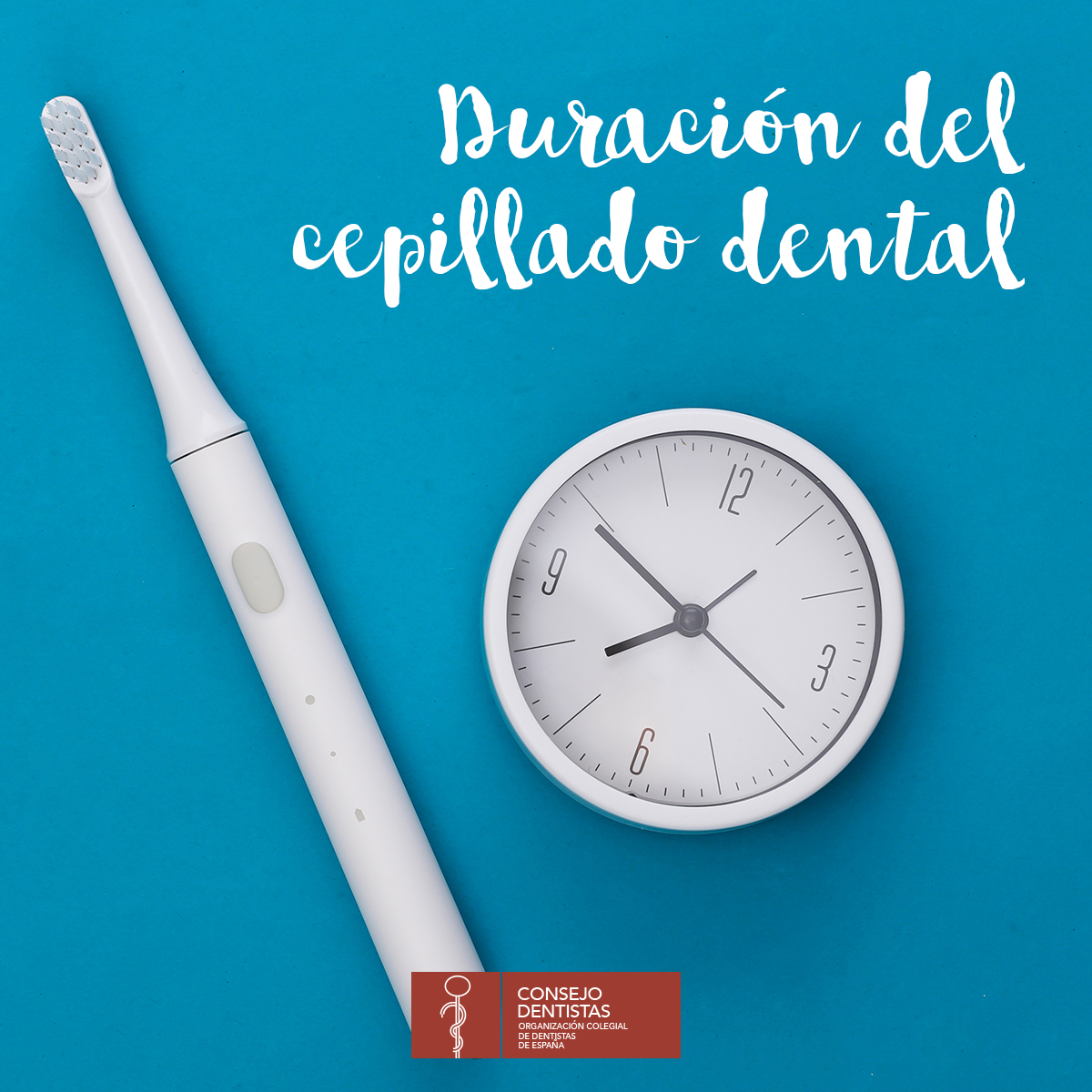 CNSJ_Dentistas's tweet image. El tiempo de duración del cepillado está directamente relacionado con su eficacia. Se recomienda cepillar los dientes durante, al menos, dos minutos después de cada comida. En este periodo se elimina más del 40% de la placa dental.