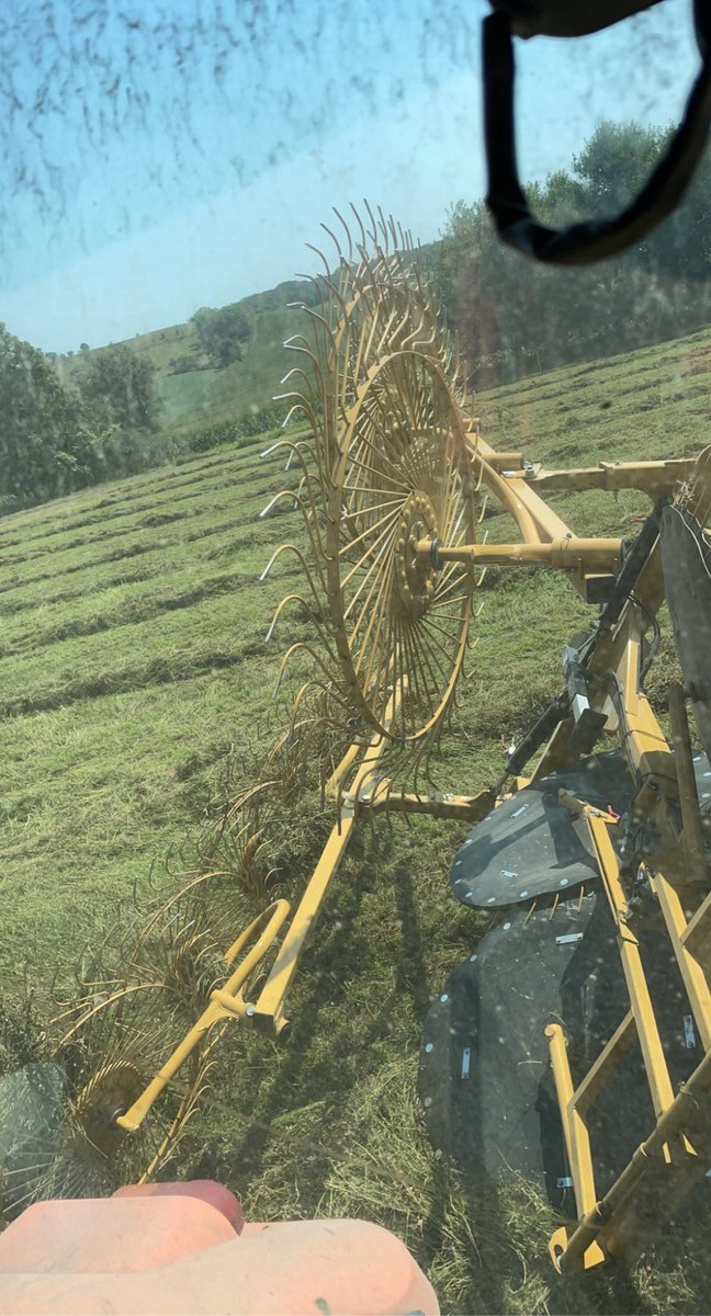 Raking the other day with the new rake this year. “I feel like this thing would be easy to roll on its side”..today answered that thought