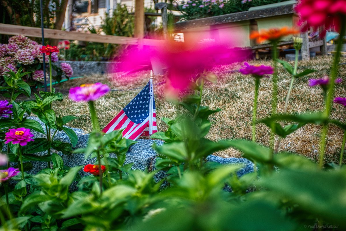 pdgibson's tweet photo. Seattle, WA
August 2021
#seattle #westseattle #seattlephotographers #fujifilmx_seattle #pacificnorthwest #pnw #pnwlife #FujiX100T #fujifilm #fujifilmseattle @FujifilmX_US https://t.co/mAQW0p9YL9