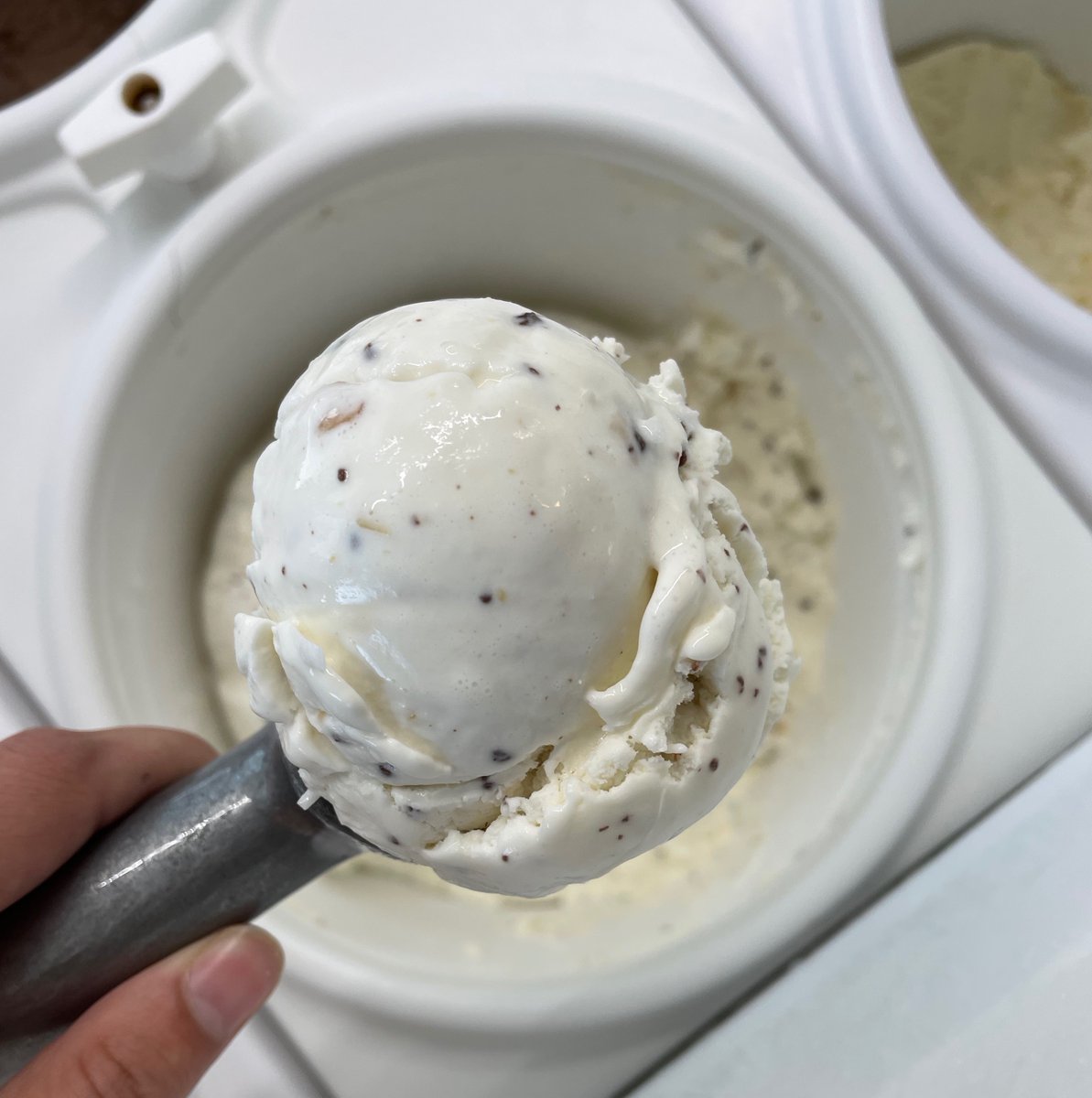 Jump for [almond] joy! Our Almond Joy ice cream is back in the dipping cabinet. This ice cream is coconuty, with the perfect amount of almonds and chocolate.