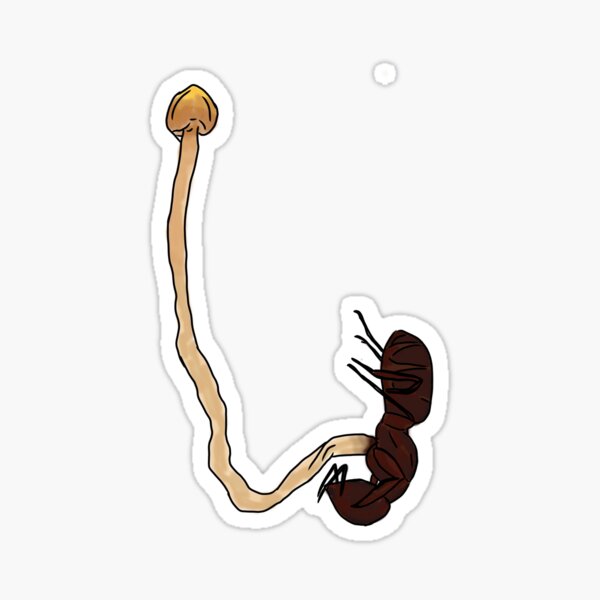 drowningwoodfae's tweet image. redbubble.com/i/sticker/Cord… #cordycep #ant #mushroom #parasiticmushroom