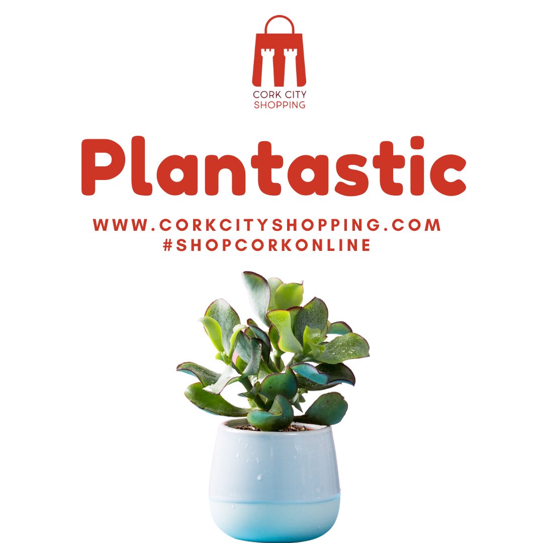 Plantastic 🪴

Get all your garden needs when you #ShopCorkOnline through our website. 

<a href="/CBA_cork/">CBA Cork</a> <a href="/corkcitycouncil/">Cork City Council</a> 

#CorkCityShopping #ShopCorkOnline #PureCork #SupportLocal #LoveLocal #LoveCork