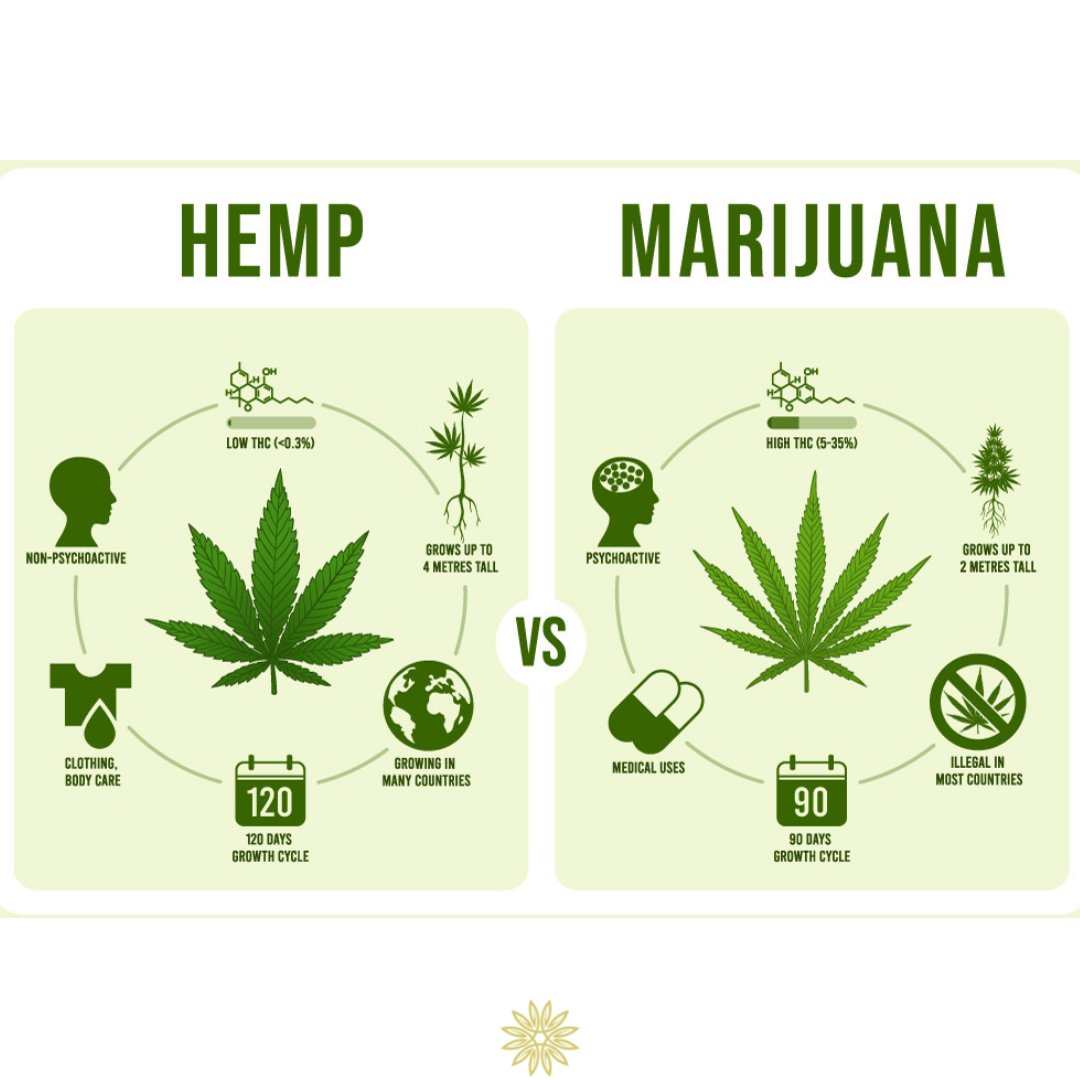 native_hemp's tweet photo. Just wanted to share how awesome HEMP and MARIJUANA are.🙌
They both provide us with everything we need! Absolutely amazing! 💯💚🌿 

#nativeearthhempco #cbd #hemp #hempshop #hemplife #hemplifestyle #hempcommunity #hempheals  #hempcbd #hempseed #hemphealth #hempseedoil #hemphelps https://t.co/3r2JZdg2L8