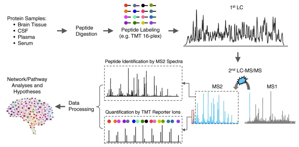 Molecular Neurodegeneration tweet media