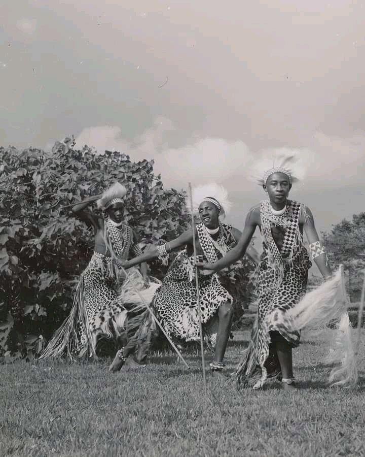HOPEFORAFRICA9's tweet photo. Intore dancers from Rwanda/Burundi🇧🇮🇷🇼. These dancers, chosen from among the young people of the best families of the Watutsi nobility, are renowned for the beauty of their dances, the perfect execution of which requires years of learning. #Burundi
#Rwanda @HawaLamin6 @Asipita6 https://t.co/y3NIINMH8Q