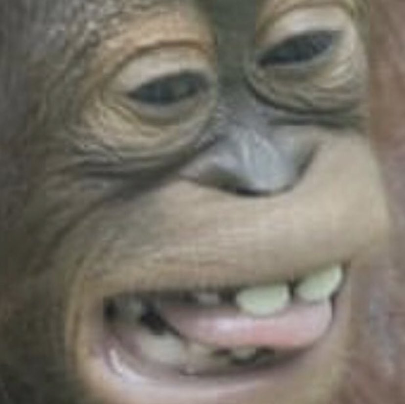 MonkeBetter tweet picture