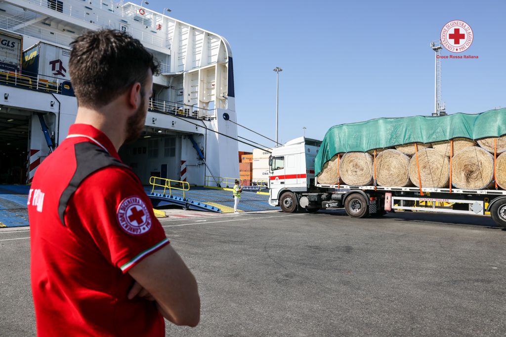crocerossa's tweet photo. 🌾🐑 In viaggio dall'alba 15 mezzi #CroceRossa con gli aiuti destinati agli allevatori sardi in difficoltà per i violenti #incendi estivi. Un'operazione possibile grazie alla donazione di #foraggi da parte di 5 regioni e al contributo di oltre 100 volontari.
#UnItaliaCheAiuta https://t.co/lkqwHYZkxX