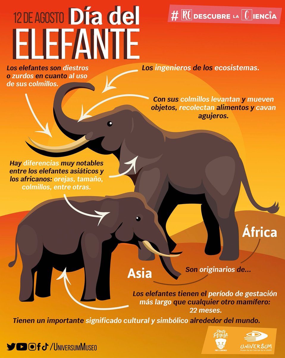 Miguel Ángel (Miguel_Shairo) Twitter