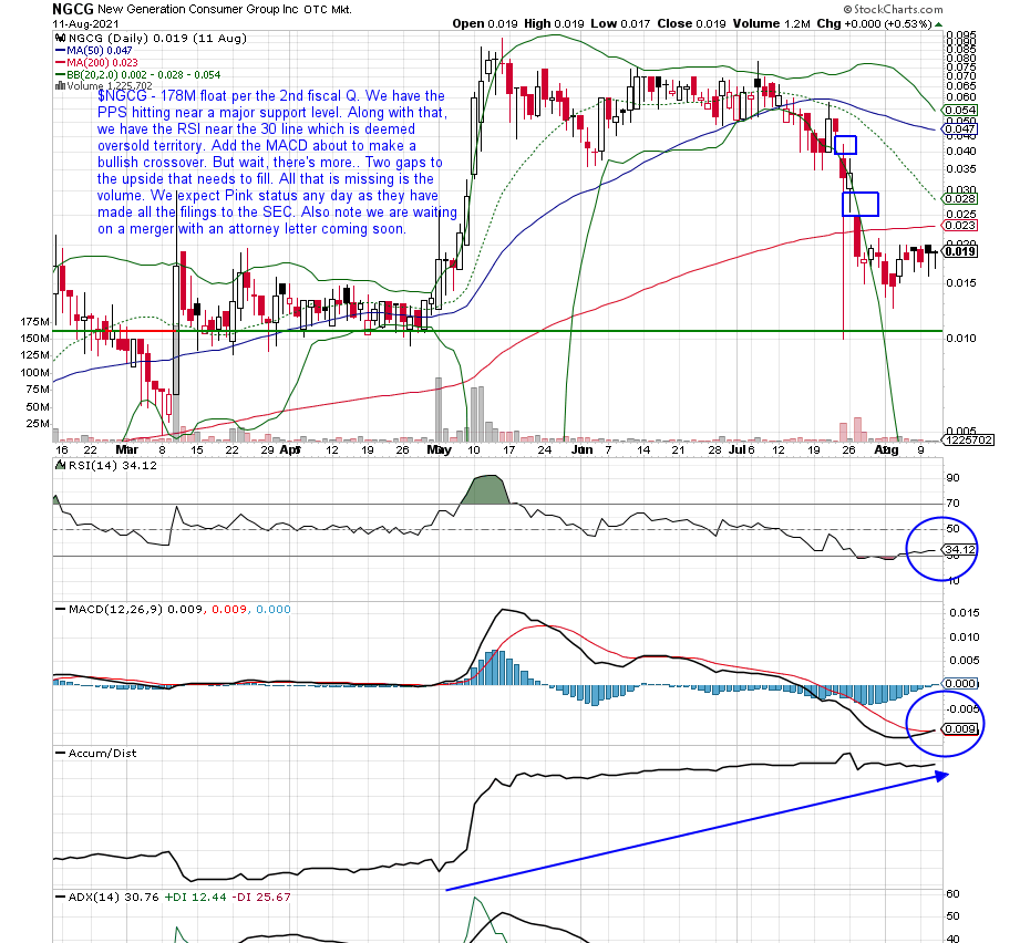 DanielMCharter's tweet photo. $NGCG - Notes in the chart. https://t.co/vyVSQjmtUE