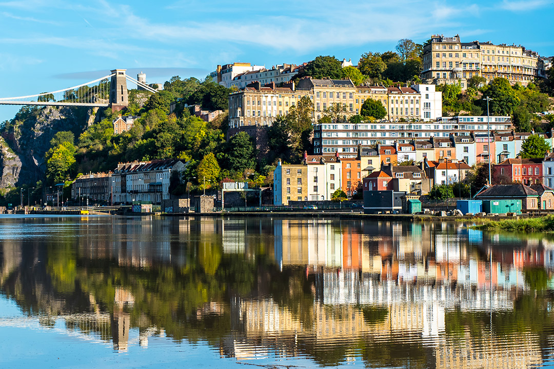 David Martin tweet media