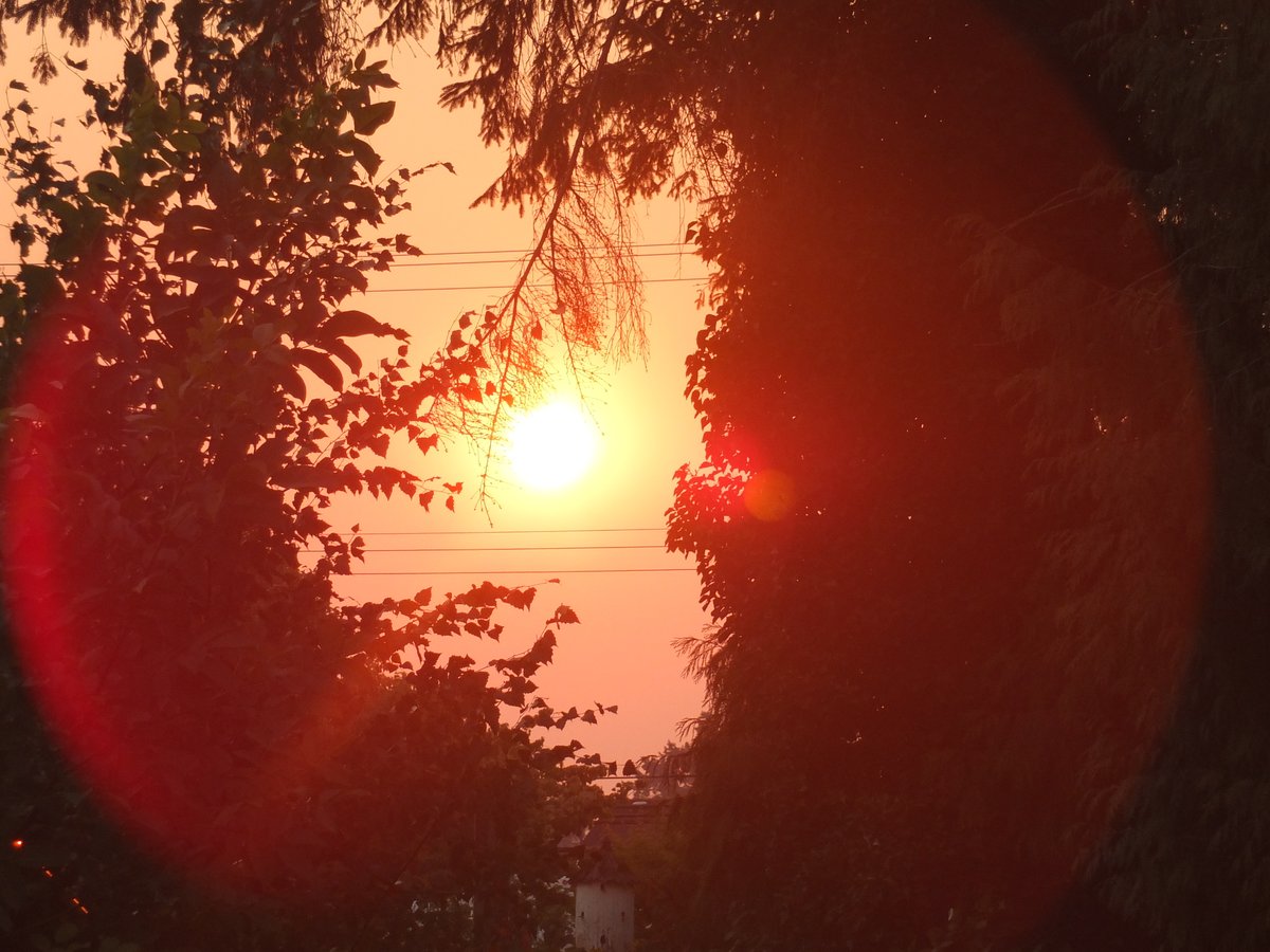 AngusJames3's tweet image. @CBCAmy Hi Amy, The smoke has arrived in Yarrow this morning. ;(