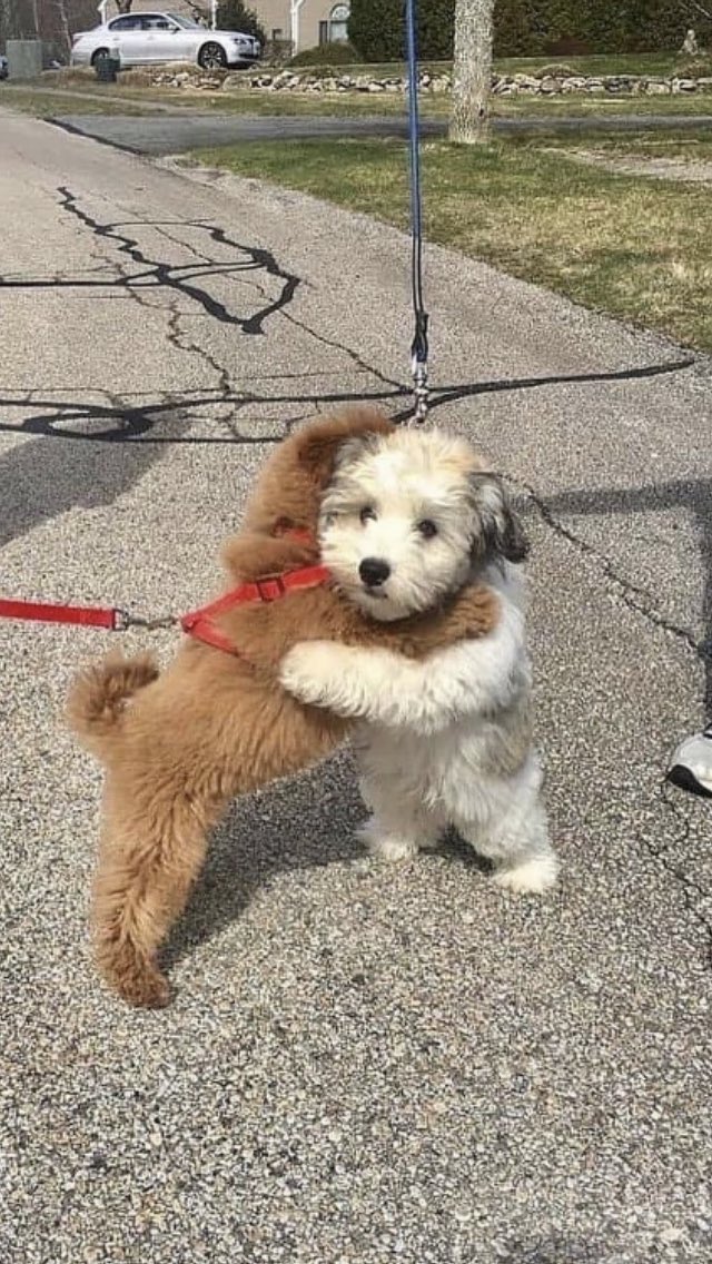 alicee142's tweet photo. @helenborlase this is literally my favourite photo in existence https://t.co/qhpbKTWzbn