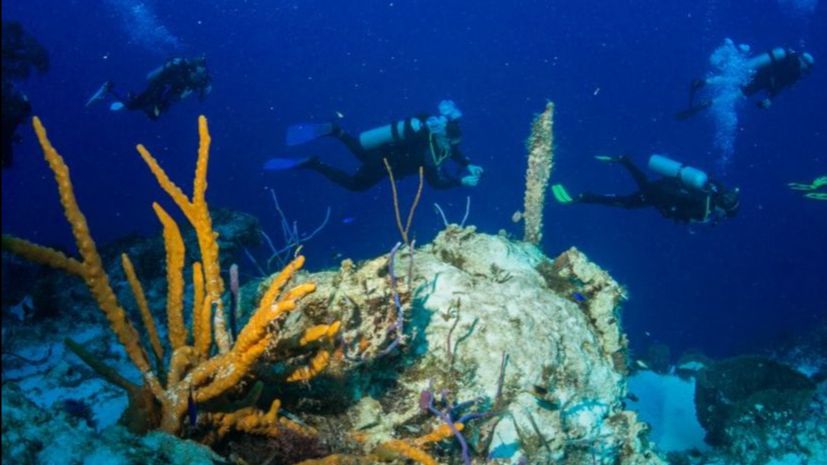 Plan your winter diving now! - mailchi.mp/ecdivers/dont-…