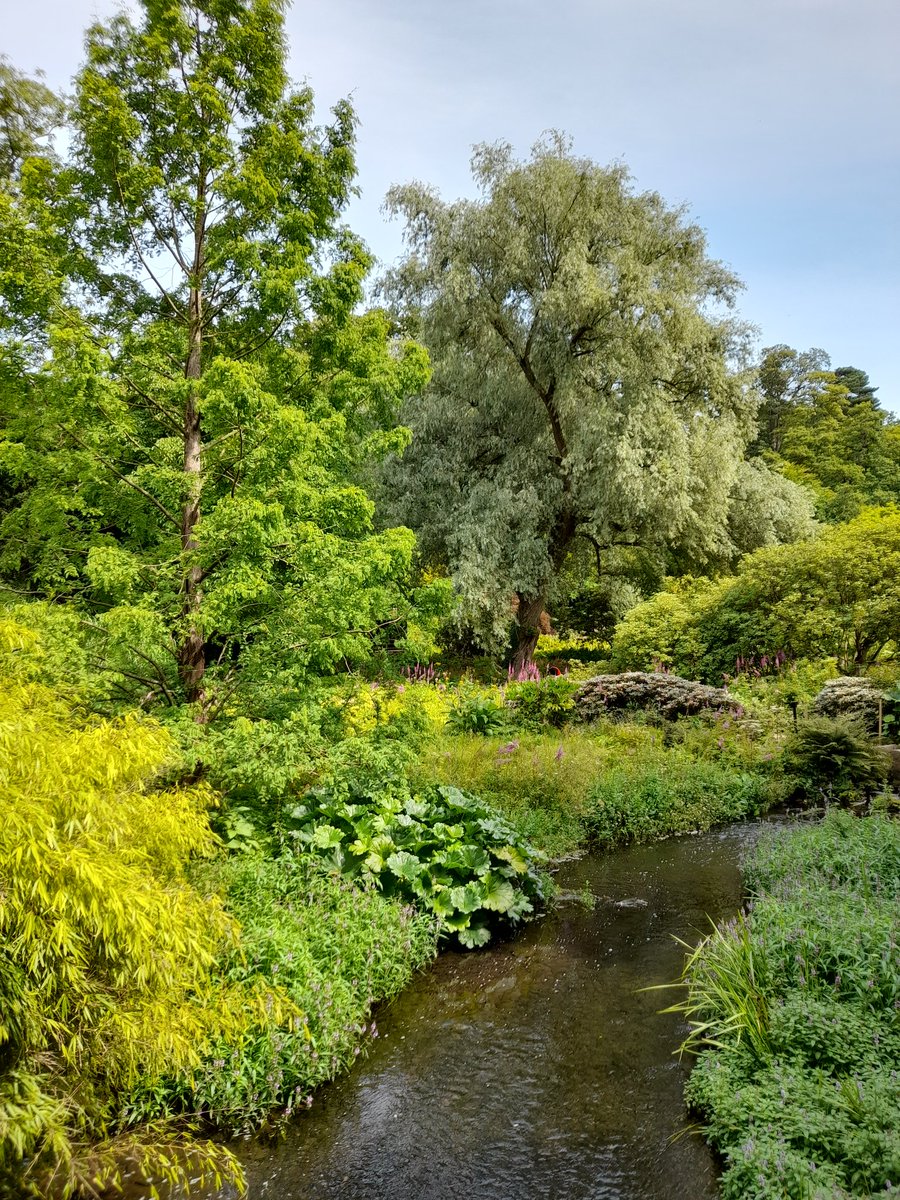 Beth Dawes tweet media