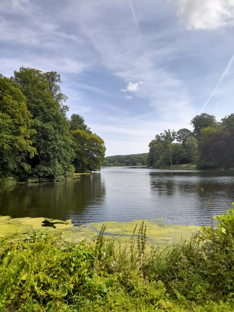 Beth Dawes tweet media