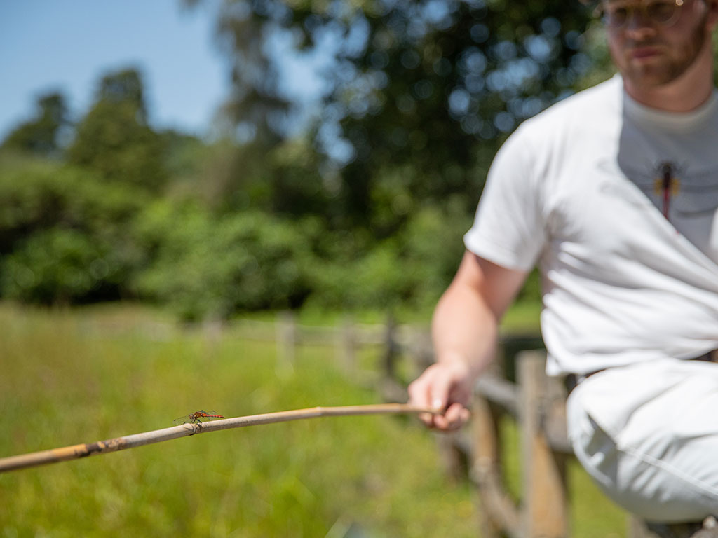 We are very proud to announce that Exbury Gardens has been designated a #DragonflyHotspot by the <a href="/BDSdragonflies/">British Dragonfly Society</a> thanks to its new #Dragonfly #Pond learning zone which has been officially opened by naturalist and broadcaster Nick Baker. See more pics here: exbury.co.uk/dragonfly-hots…