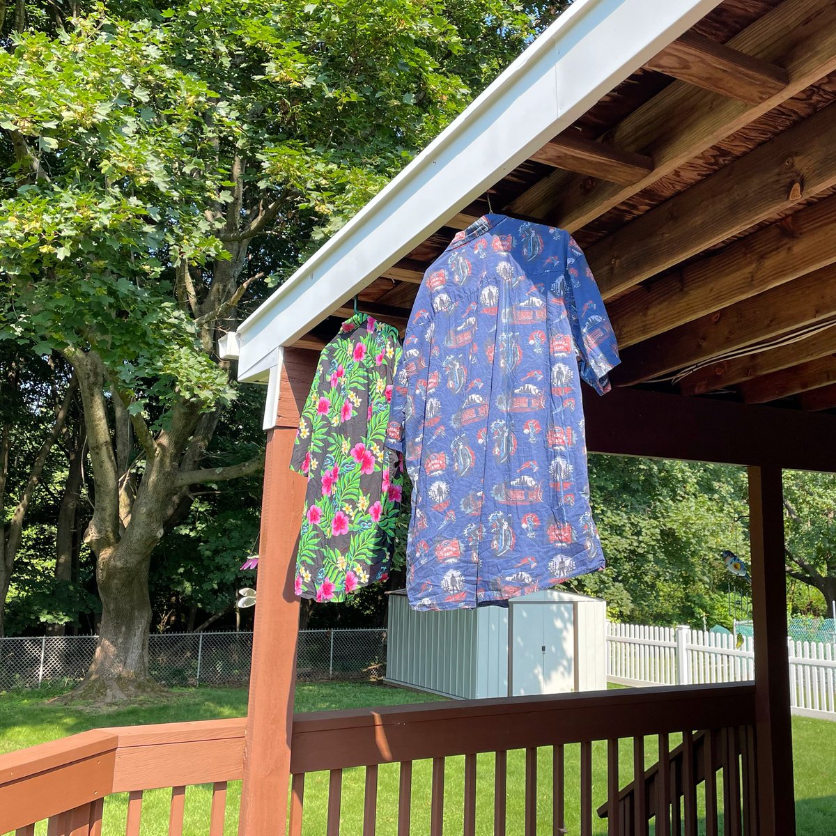LarryDwyer's tweet image. Instructions say to “line dry” my shirts. I don’t have a line so “hang on the deck roof dry” will have to suffice. #LaundryProblems