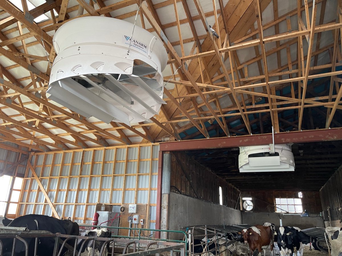 CanarmAgSystems's tweet photo. We hope the girls at Cann Farms will be cool and comfortable during this heat wave with these Canarm 72" Cyclone Plus circulating fans! 🐄😎
#ontag #canarm #dairyfarm #farmlife #farm #ag #fan #upgrades #hurricannholsteins https://t.co/5CFUXWdYSs