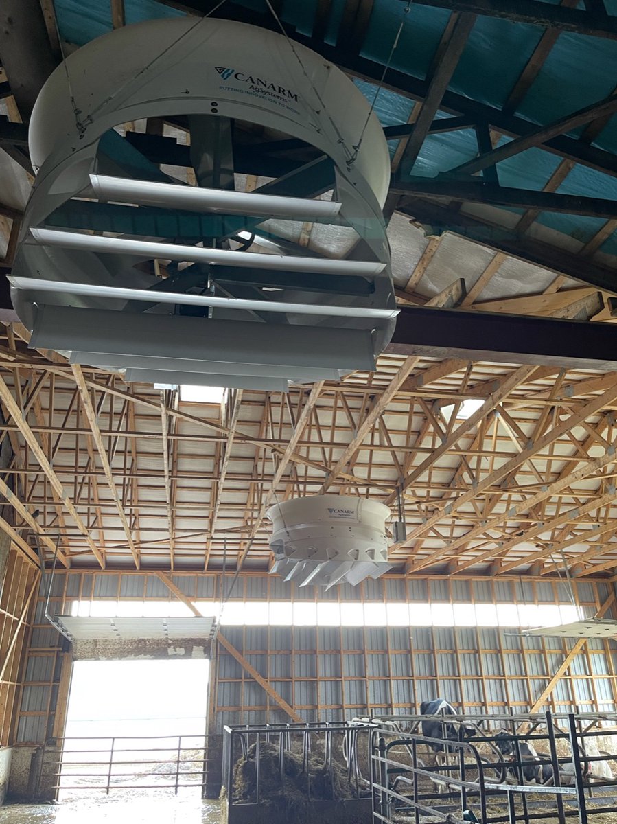 CanarmAgSystems's tweet photo. We hope the girls at Cann Farms will be cool and comfortable during this heat wave with these Canarm 72" Cyclone Plus circulating fans! 🐄😎
#ontag #canarm #dairyfarm #farmlife #farm #ag #fan #upgrades #hurricannholsteins https://t.co/5CFUXWdYSs