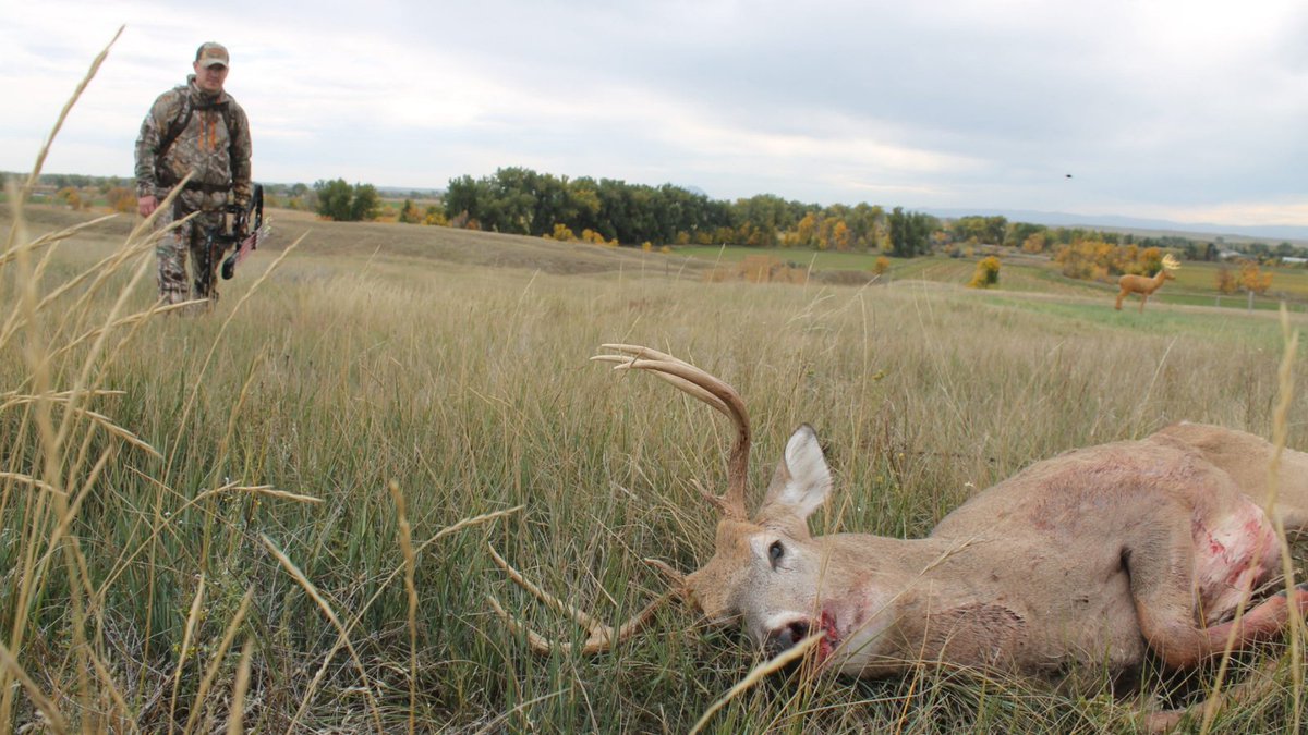 deerhuntingmag tweet picture