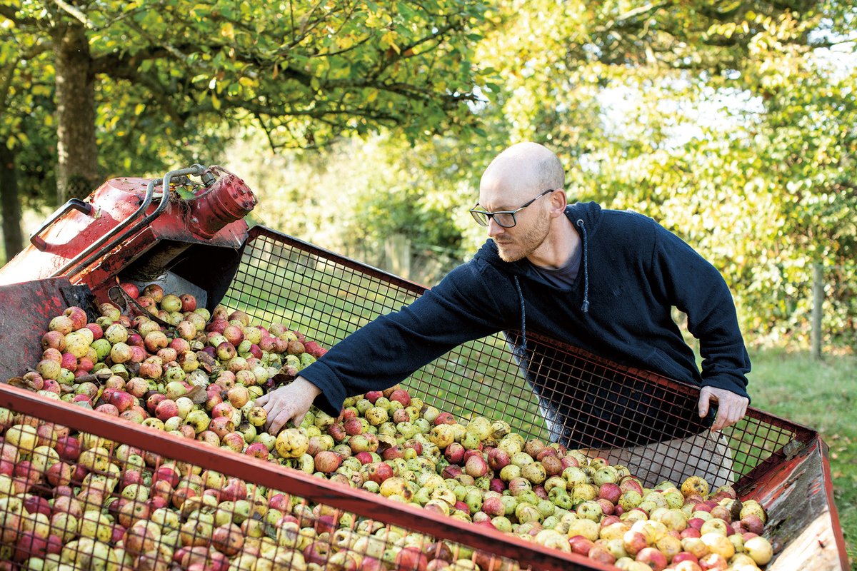 Cider, or wine? Devon has award-winning versions of both, thanks to its warm, damp climate and passionate, knowledgeable producers. <a href="/FoodDrinkDevon/">Food Drink Devon</a> <a href="/FurrowCider/">Ridge & Furrow Cider</a> <a href="/Huntscider/">Hunt's Cider</a> <a href="/ostlersmill/">Ostlers Cider Mill</a>  @luscombedrinks  Read our feature here:
tastebudsmagazine.co.uk/feature/fine-v…
