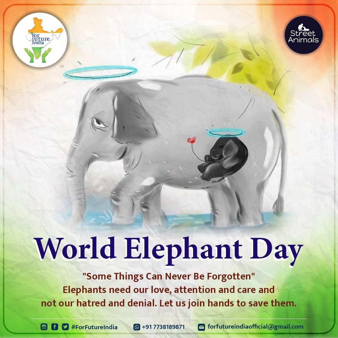 World Elephant Day

'Some Things Can Never Be Forgotten'
Elephants need our love, attention and care and not our hatred and denial. Let us join hands to save them. 

#WorldElephantDay #ForFutureIndia #ForFutureIndiaTeam #StreetAnimals #streetanimalsindia #Elephant #wildlife