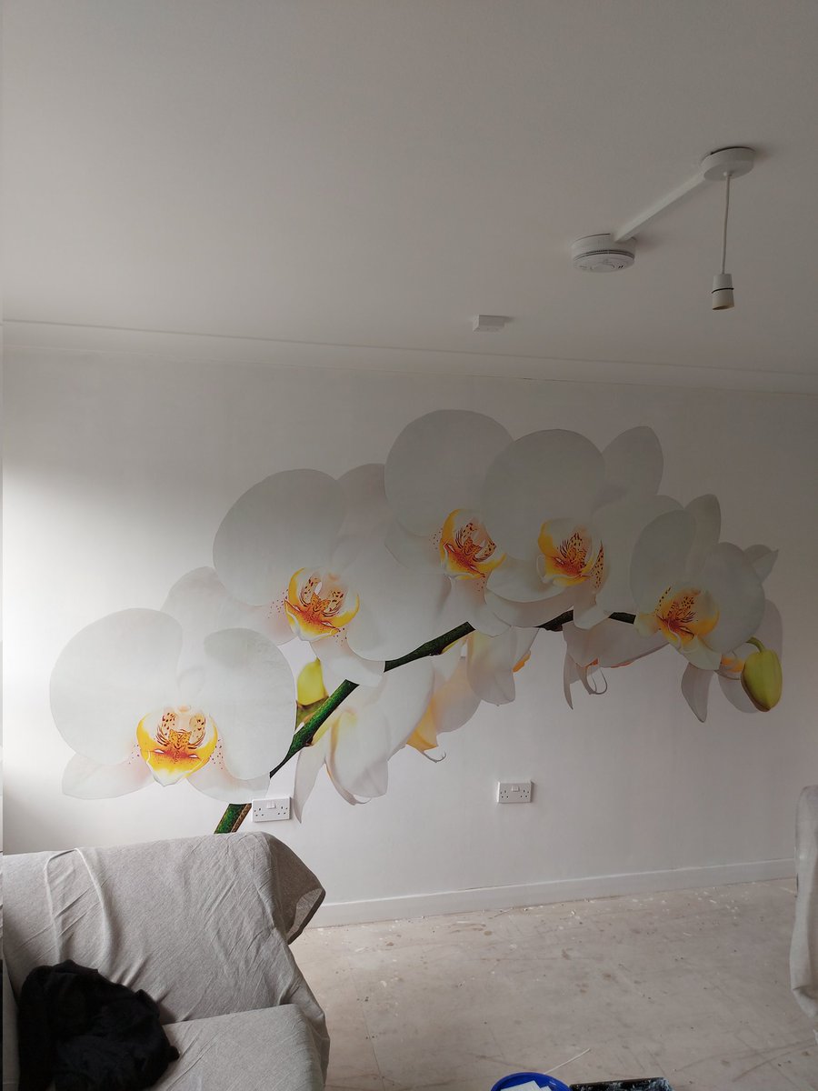 digitaldecors's tweet image. Flower wallpaper mural just printed and fitted. #Paisley #Glasgow #mural #decoration