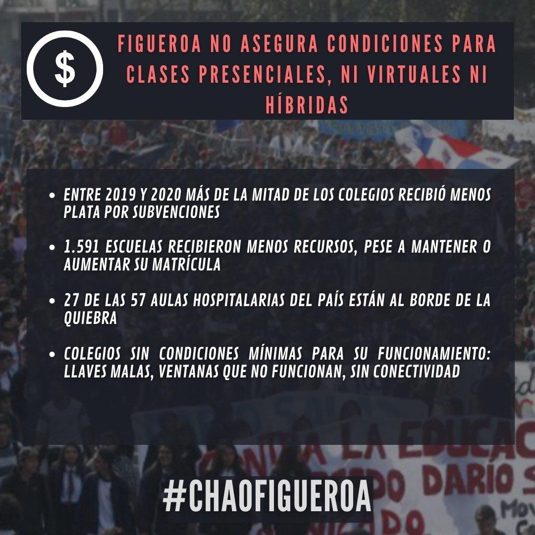 Catalina Pérez Diputada tweet media