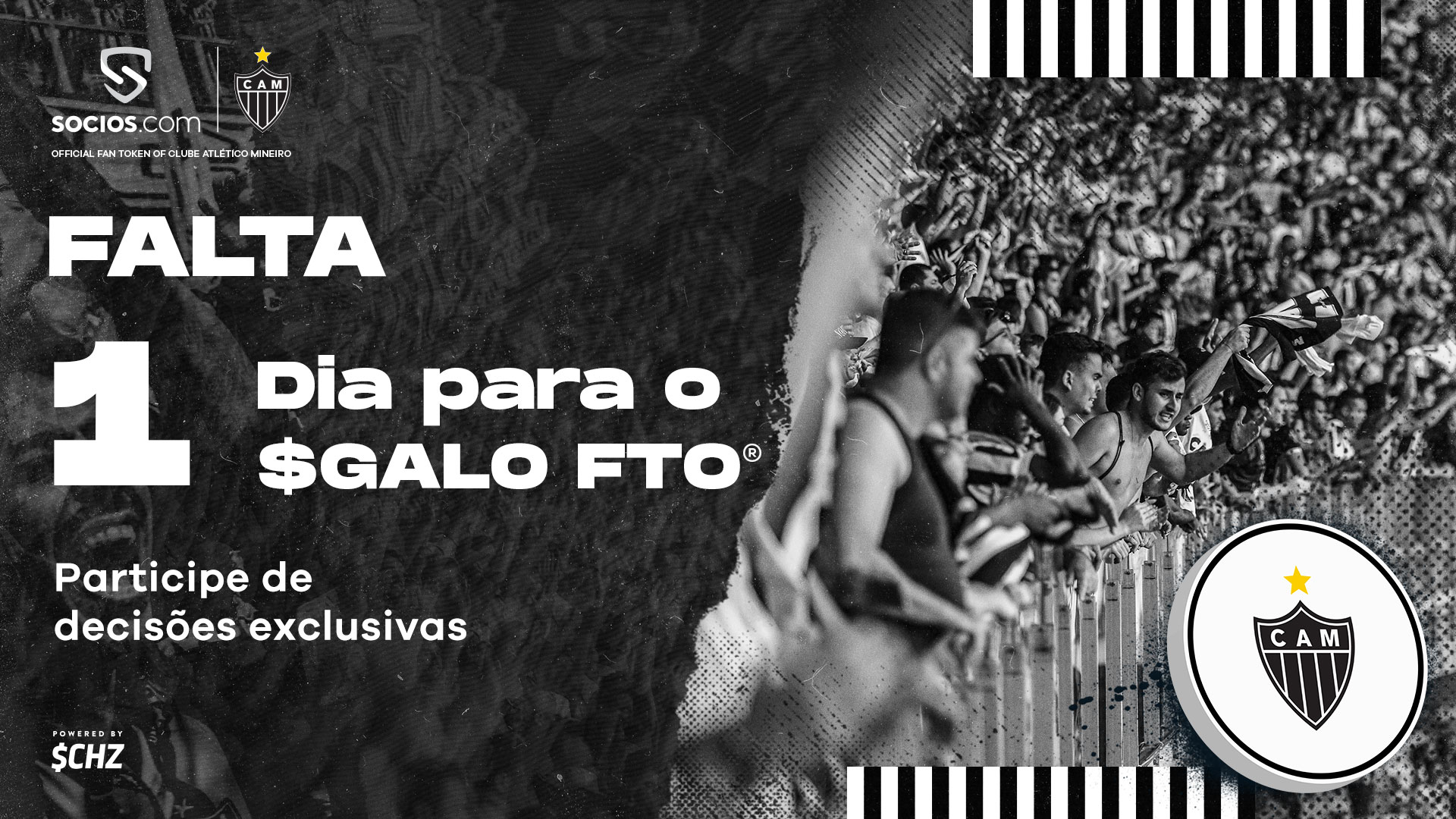 🚨 AO VIVO 🚨 O QUE ESPERAR DO GALO HOJE ❓ 