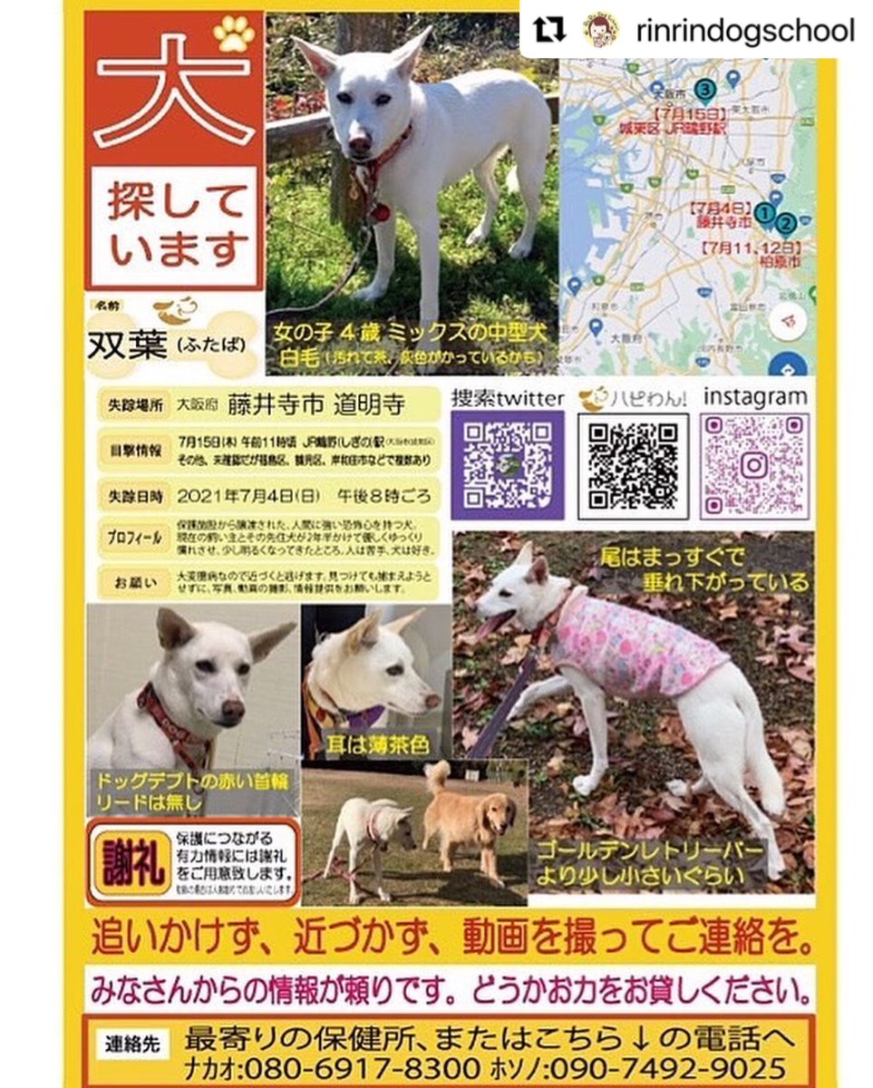 ট ইট র 双葉 大阪府迷子犬探してます 確実な情報がないまま過ごしてると 不安しか出てこなかったですが少しでも可能性を見つけると一気に 双葉さん捜索に気合が入ります 白っぽい犬見かけたら できれば動画撮って送ってもらえるとありがたいです 大阪 ট ইট র 双葉 大阪府迷子犬探してます 確実な情報がないまま過ごしてると 不安しか出てこなかったですが少しでも可能性を見つけると一気に 双葉さん捜索に気合が入ります 白っぽい犬見かけたら できれば動画撮って送ってもらえるとありがたいです 大阪