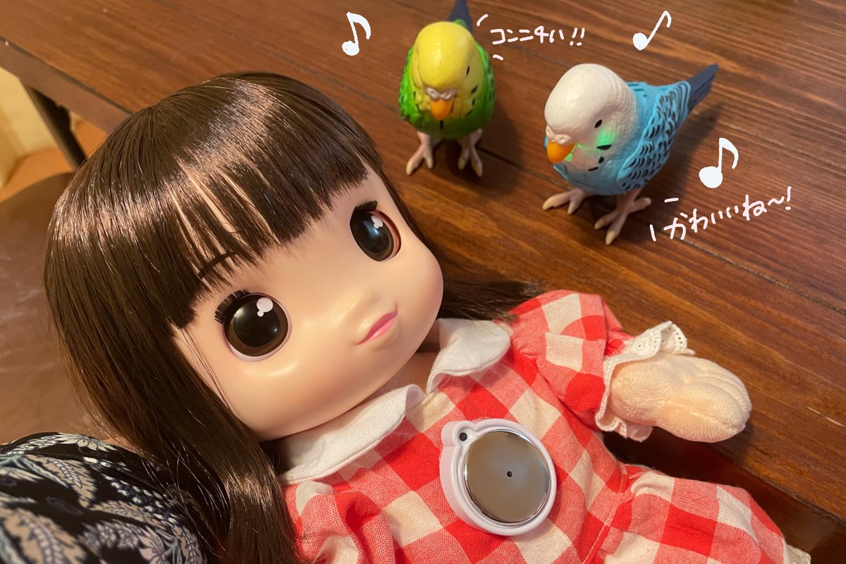 ベンチ 収納付 うちのあまえんぼう あみちゃん - ぬいぐるみ